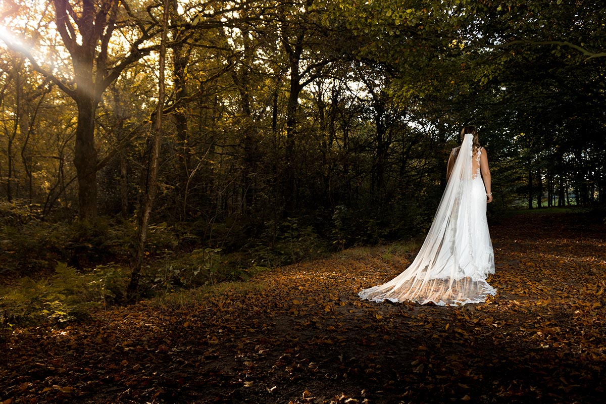 Bruid loopt in donker herfstbos terwijl de zon door de bomen schijnt